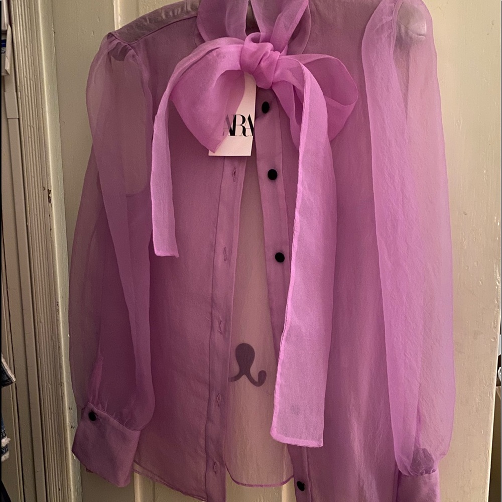 Zara Sheer bow blouse NWT Orchid Color